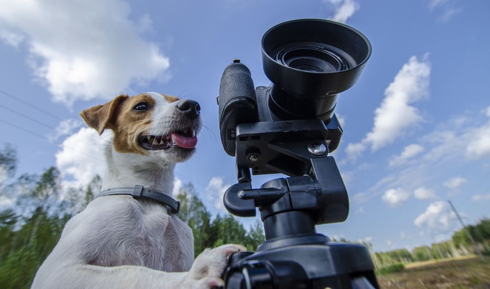 Photograph by Роман Кудрявцев