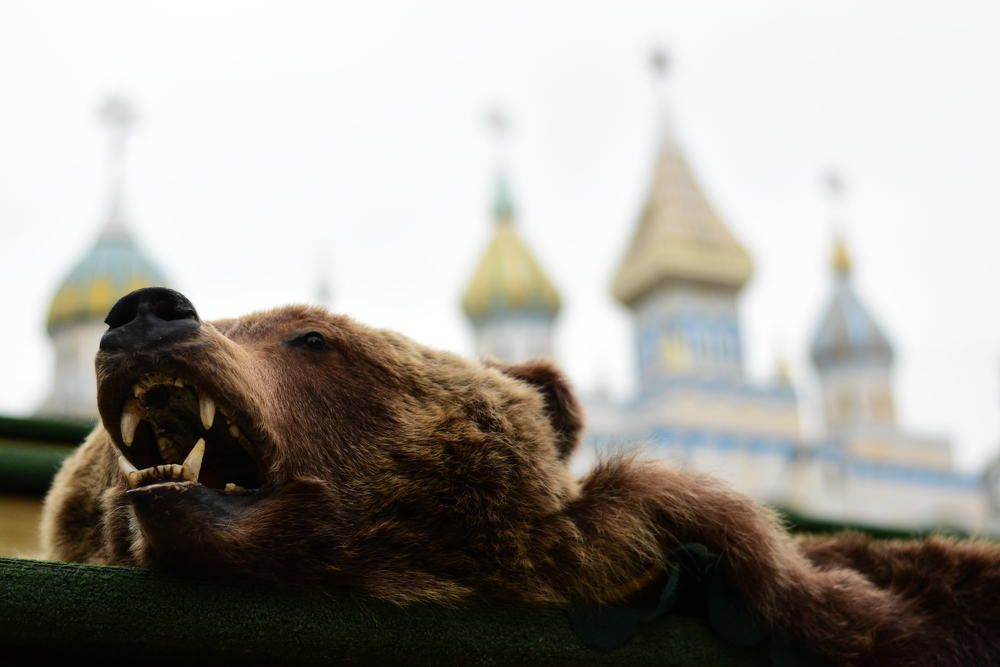 Photograph by Vincent McCooper