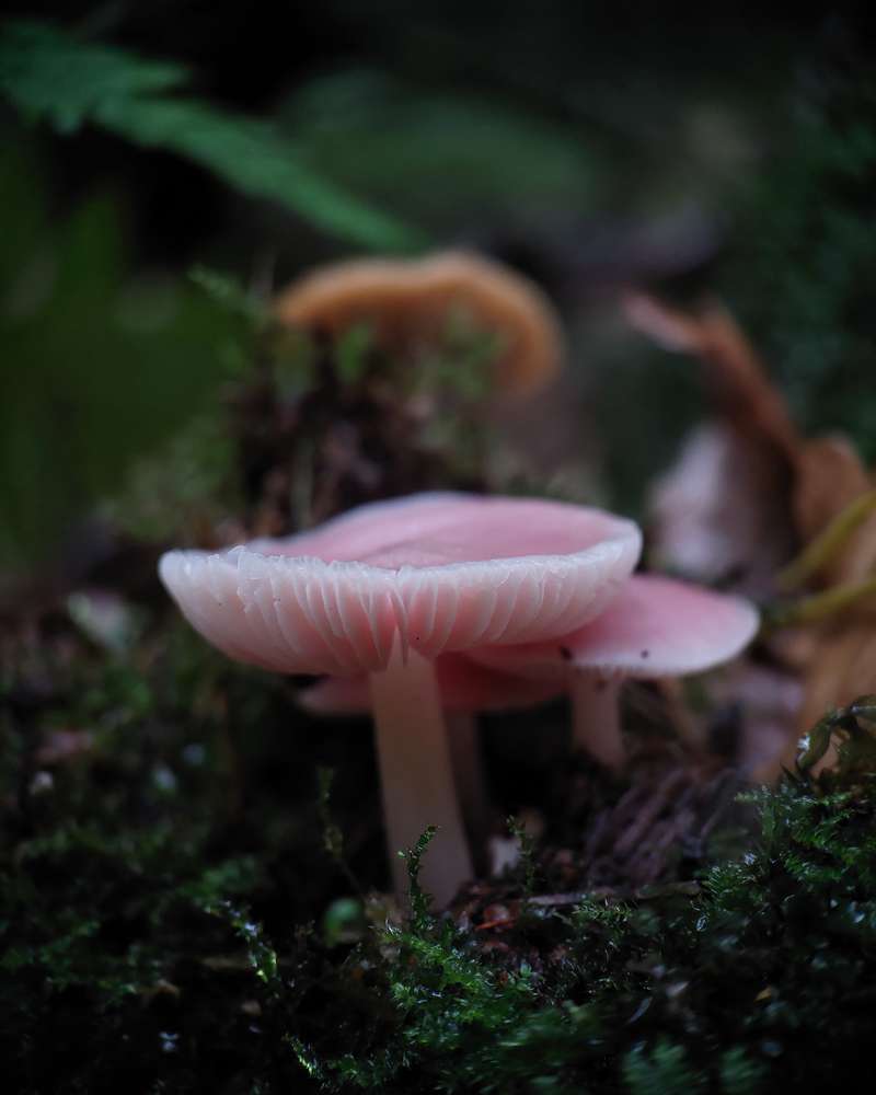 Photograph by Данила Черезов