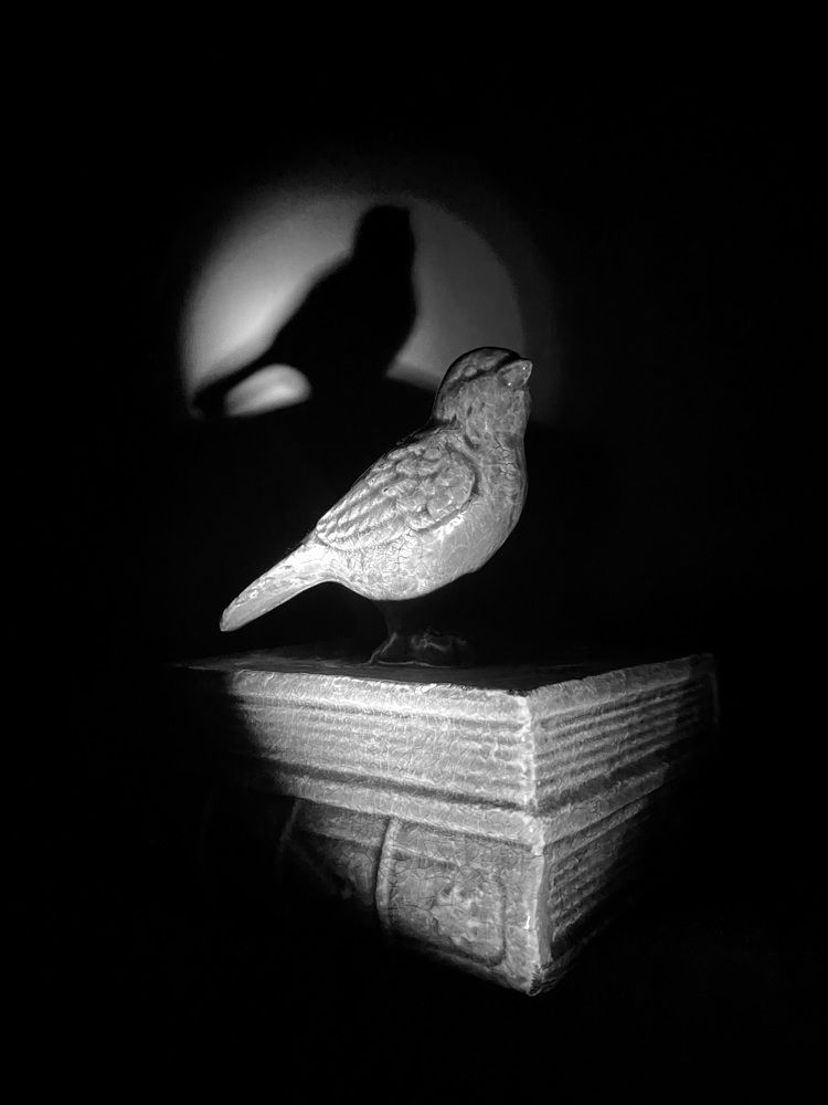 Photograph by Sergei