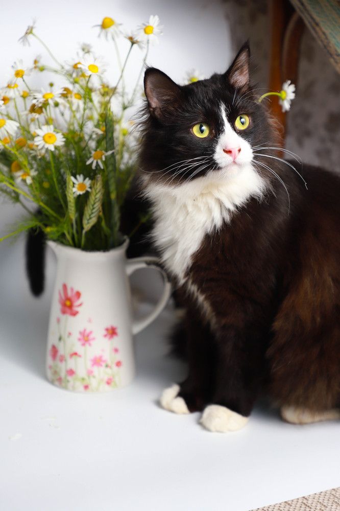 Photograph by Елена Сиднина