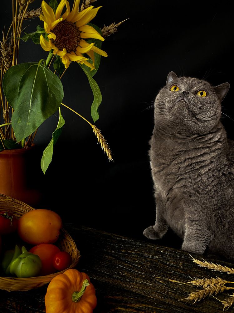 Photograph by Вера Романова