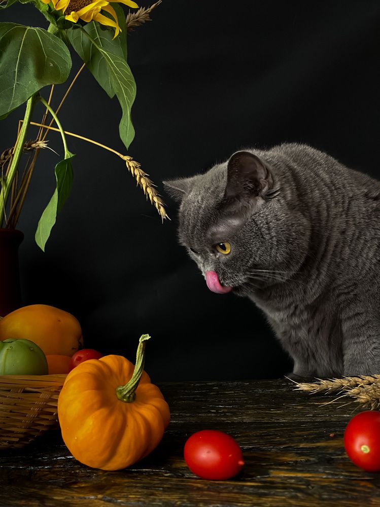 Photograph by Вера Романова