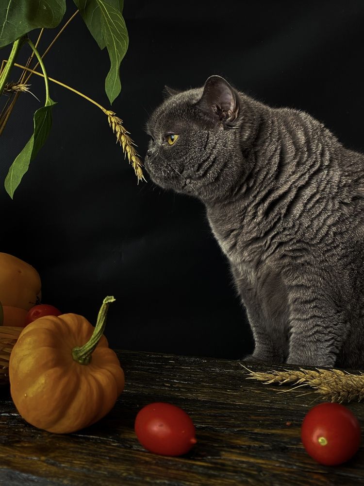 Photograph by Вера Романова