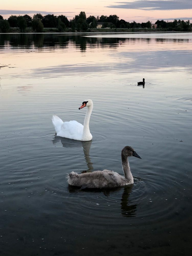 Photograph by Halina Mitsevich