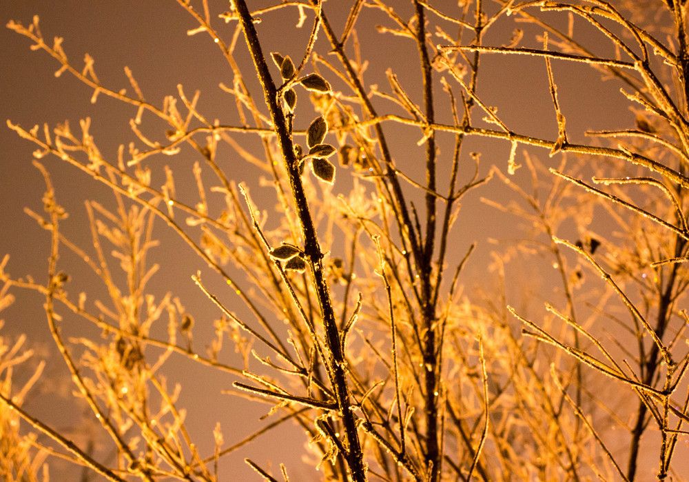 Фотография автора Владимир Ступинский