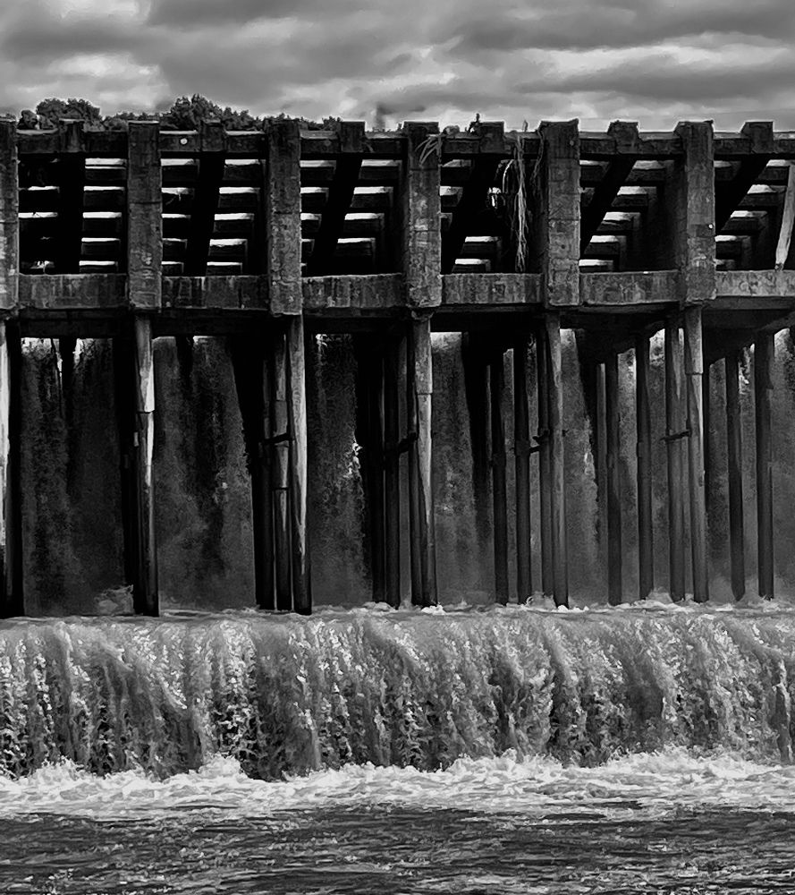 Photograph by Tatiana Teit Ash