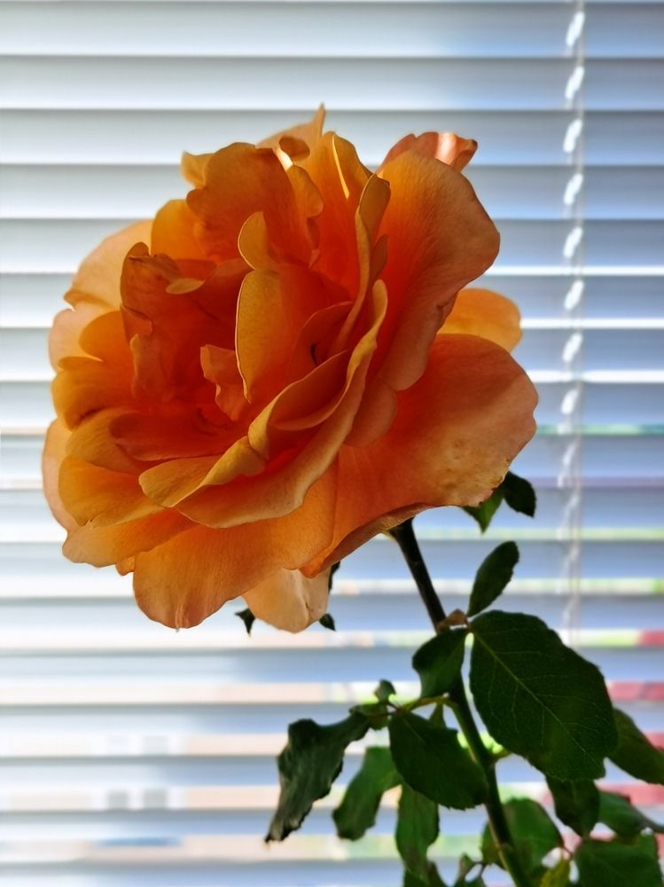 Photograph by Оксана Урбанович