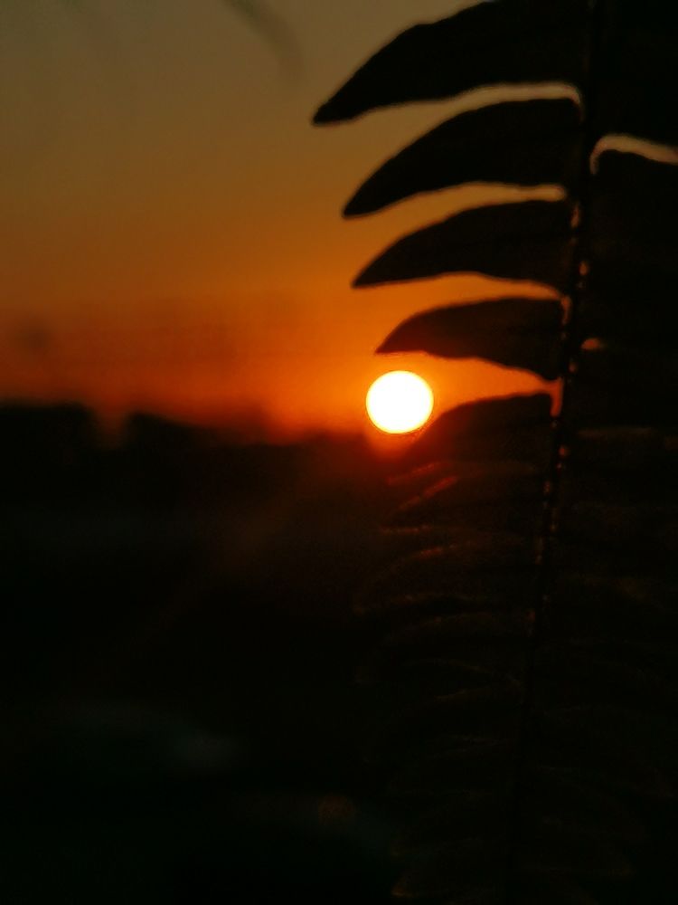 Photograph by Оксана Урбанович