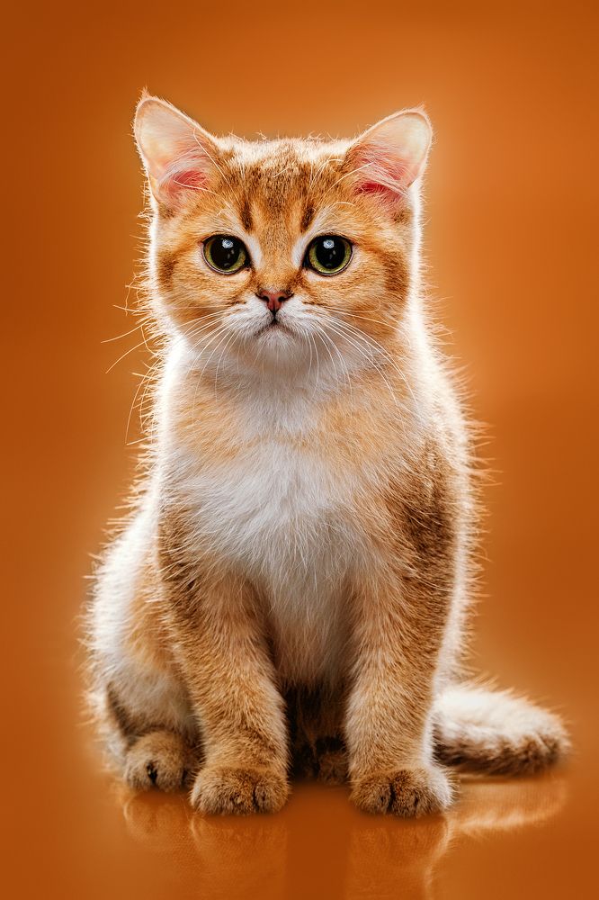 Photograph by Дёгтев Евгений