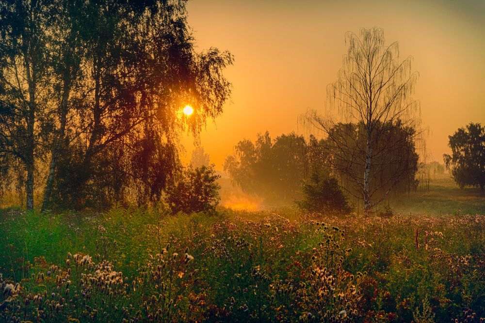 Photograph by Пётр Калачев