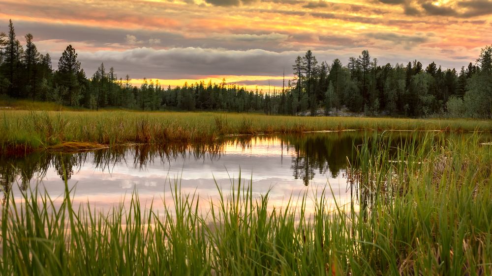 Photograph by Александр Слепцов