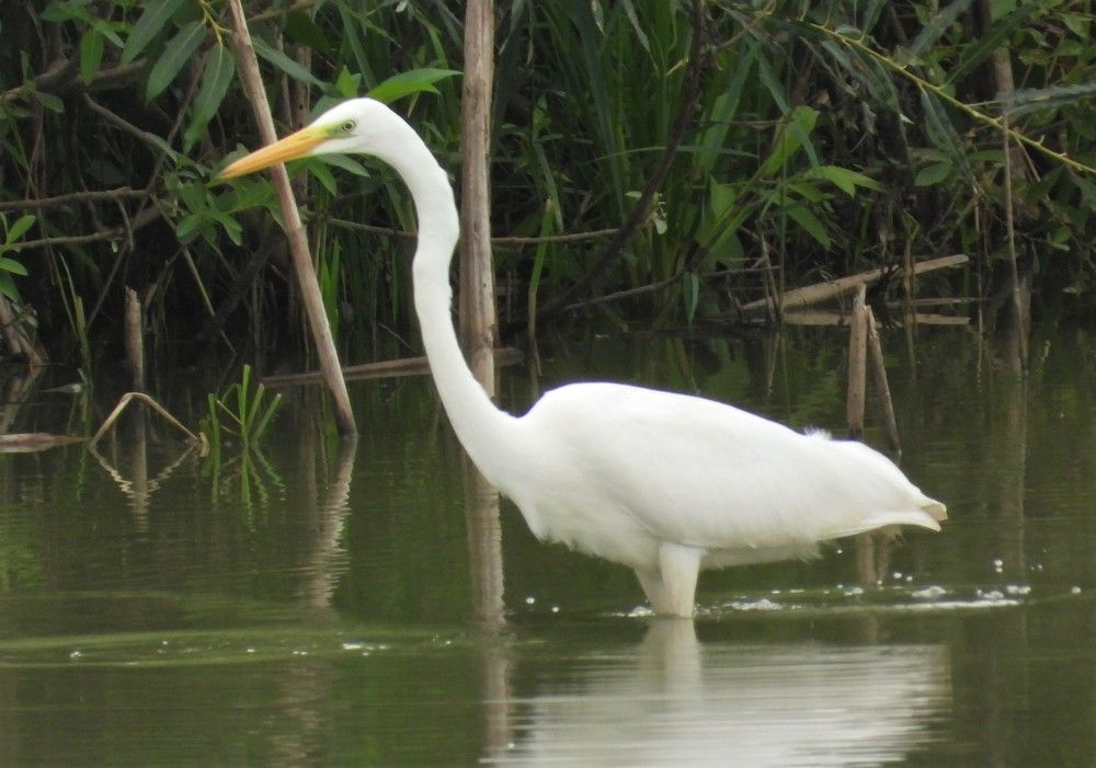 Photograph by Владимир Джерихов