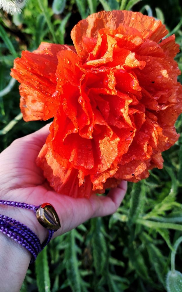 Photograph by Наталья Калюнова