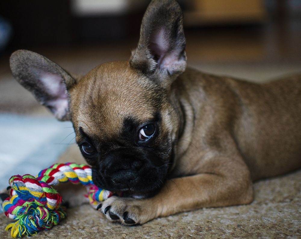 Photograph by Ганна Кліпіна