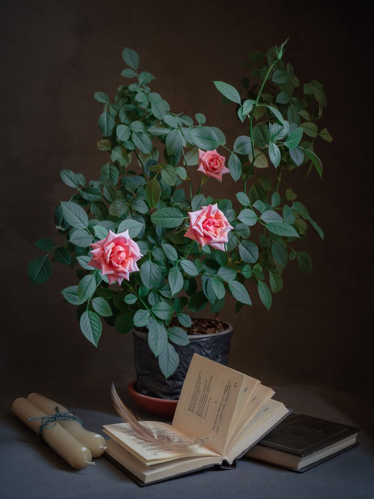 Натюрморт с розами и книгами стихов.
