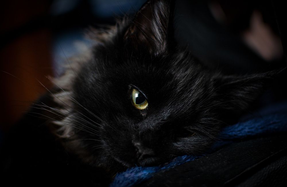 Photograph by Ганна Кліпіна