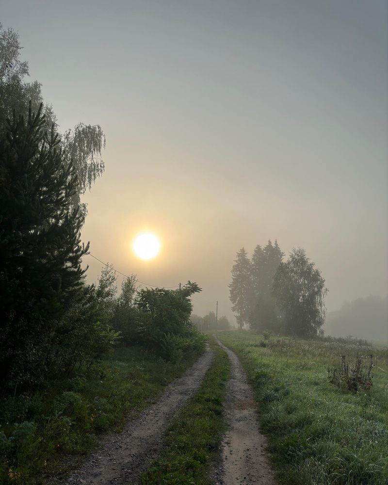 Photograph by Лариса Акинчиц