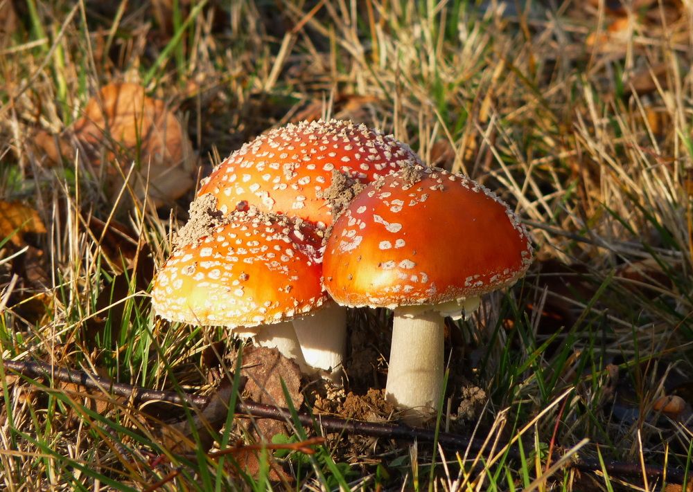 Photograph by Galina Leskova