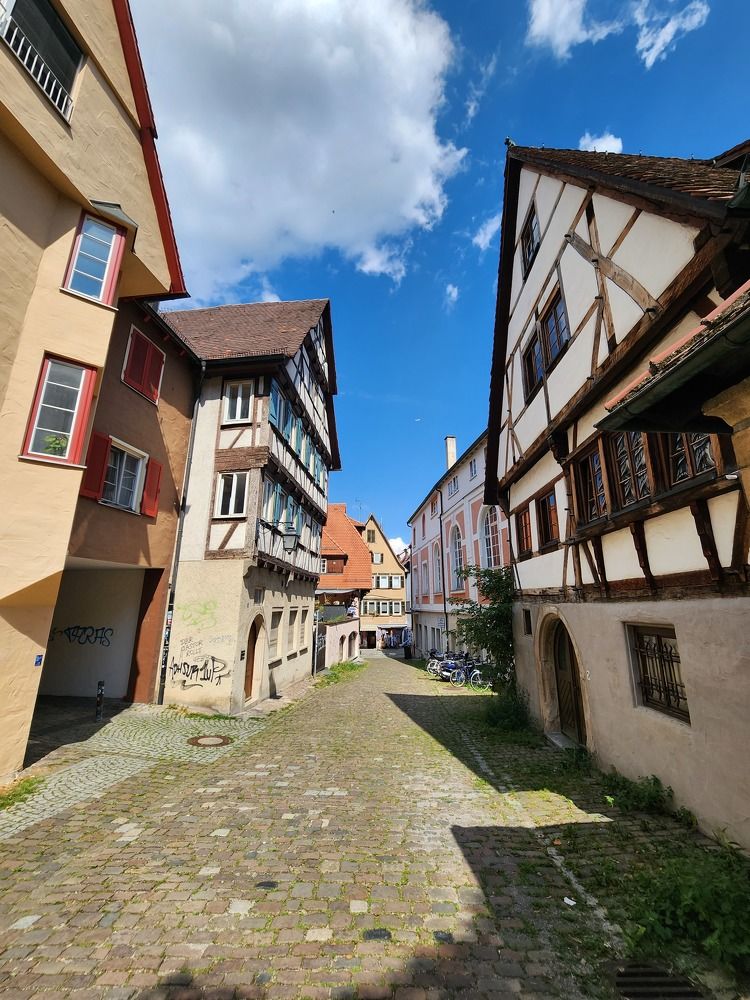 Photograph by esti lahat