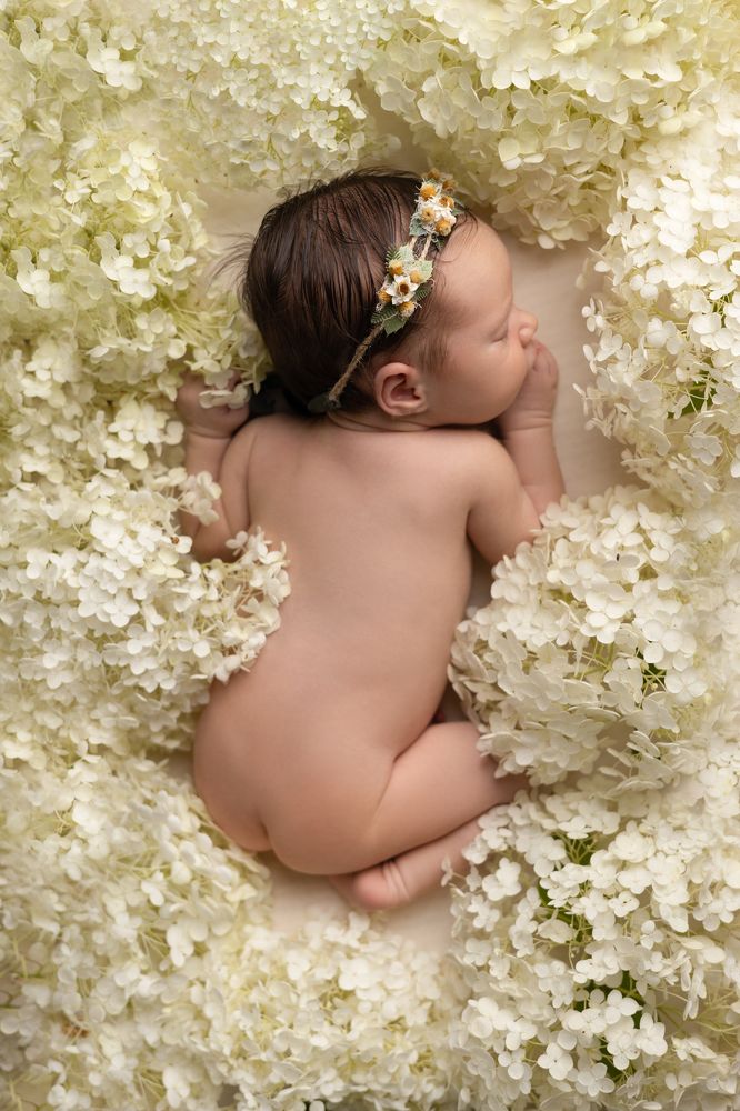 Photograph by Мила Станисис