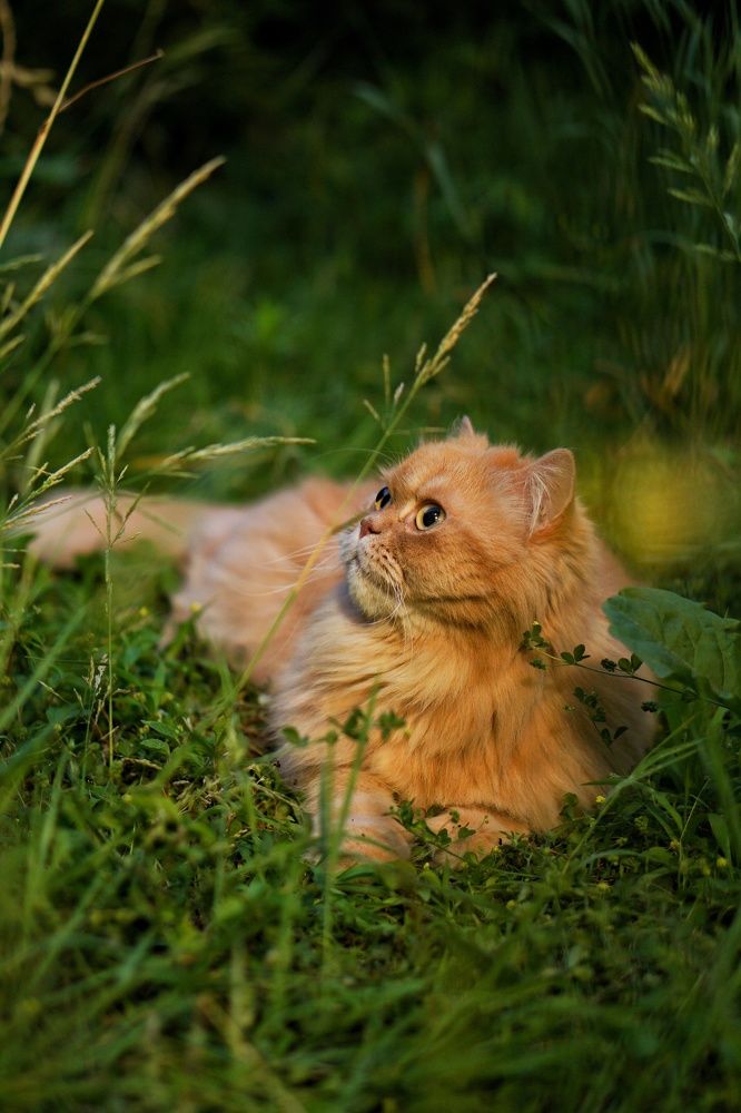 Photograph by Оксана