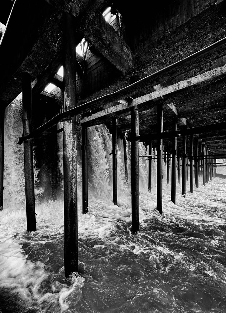 Photograph by Tatiana Teit Ash