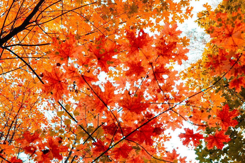 Photograph by Андрей Шишлов