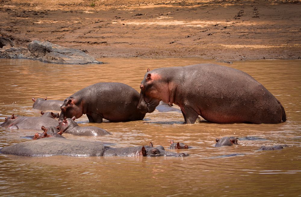 Photograph by Inna Ivanova