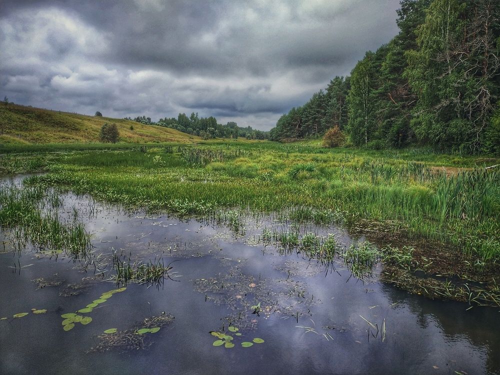 Фотография автора Юлия Сазанова