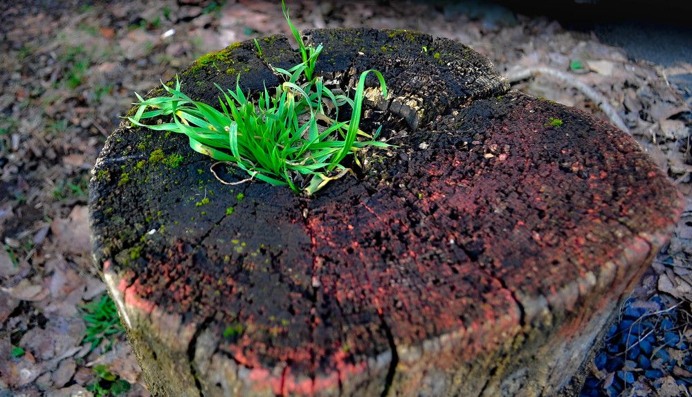 Photograph by Алекскандр Фатеев