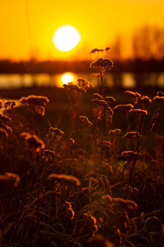 Photograph by Елена Павлова