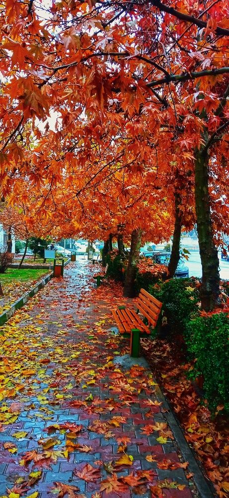 Фотография автора Mahdi Mohammadi