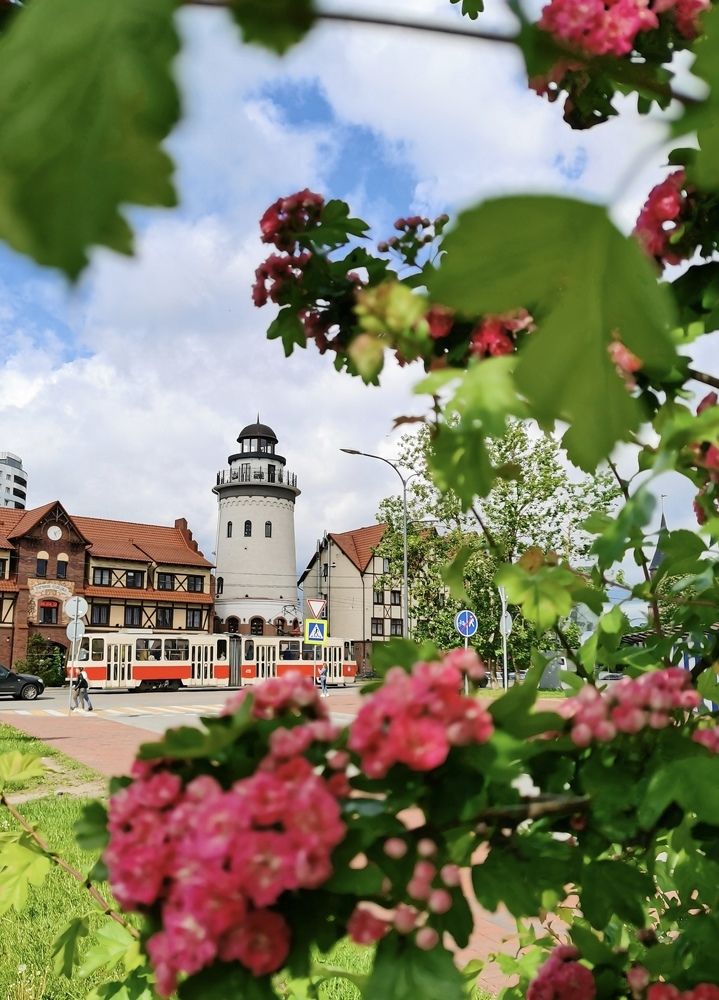 Photograph by Елизавета Лай