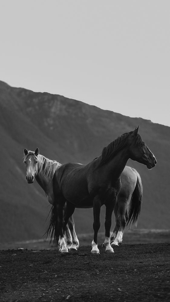 Photograph by Данил Савченко