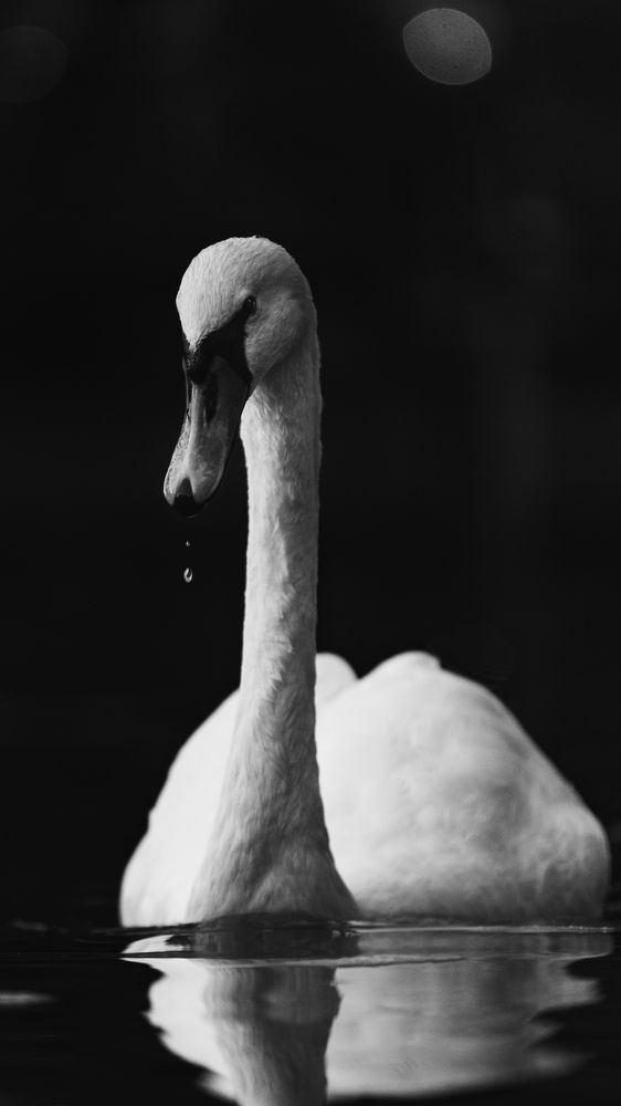 Photograph by Данил Савченко