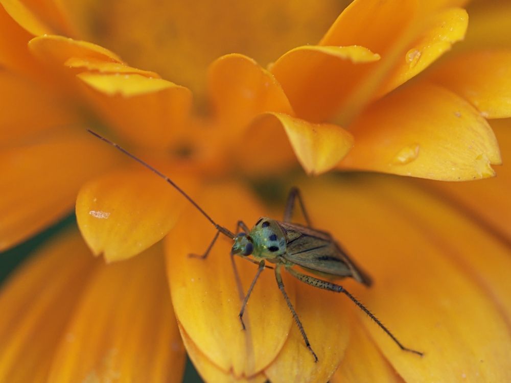 Photograph by Ирина Серегина