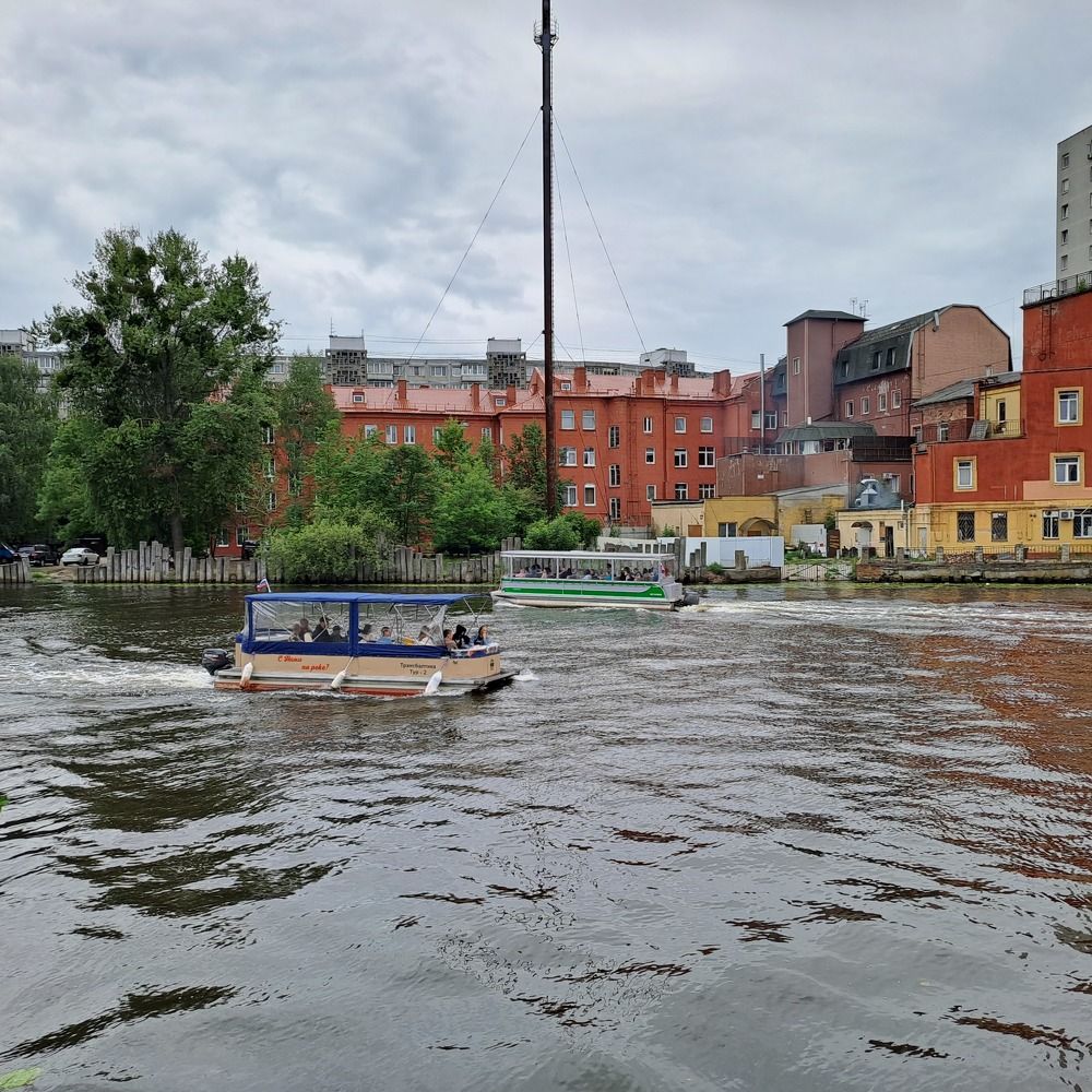 Photograph by Светлана Светлана