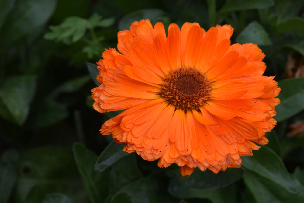 Photograph by Beatriz Games