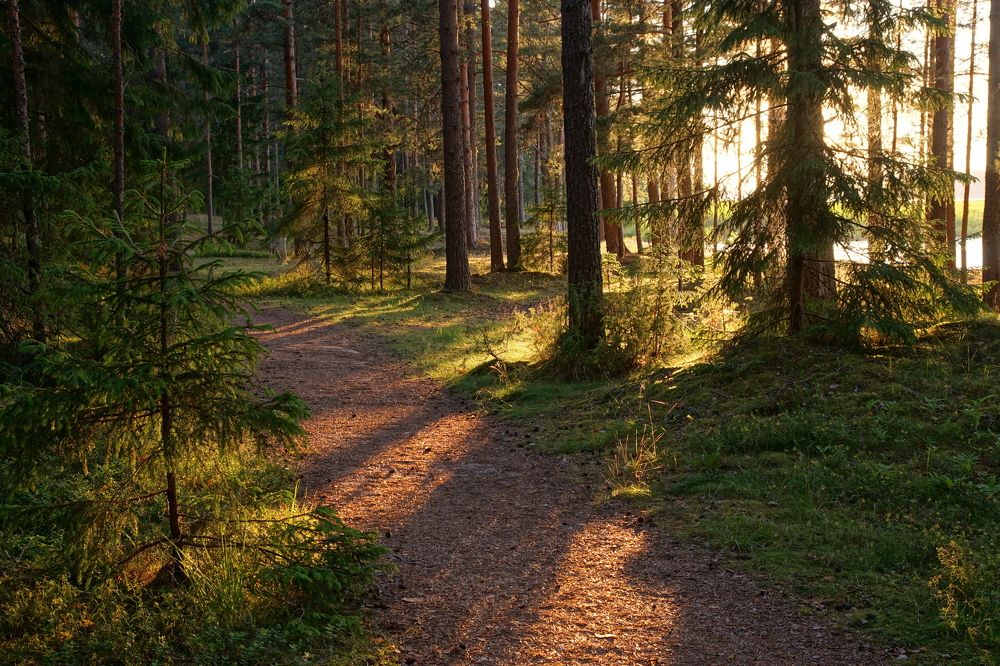 Photograph by Пётр Калачев