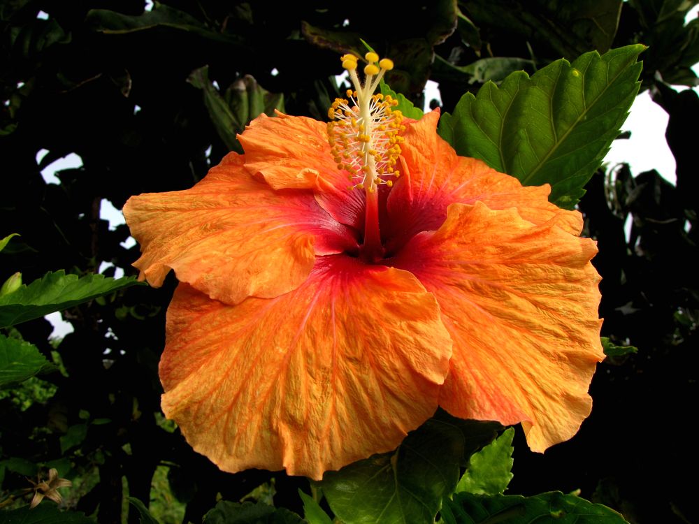 Photograph by Beatriz Games