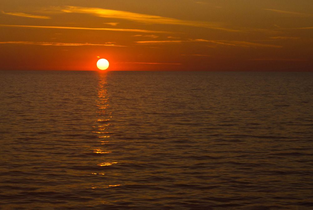 Фотография автора Minja Jovetic