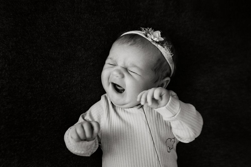 Фотография автора Ману Фалько