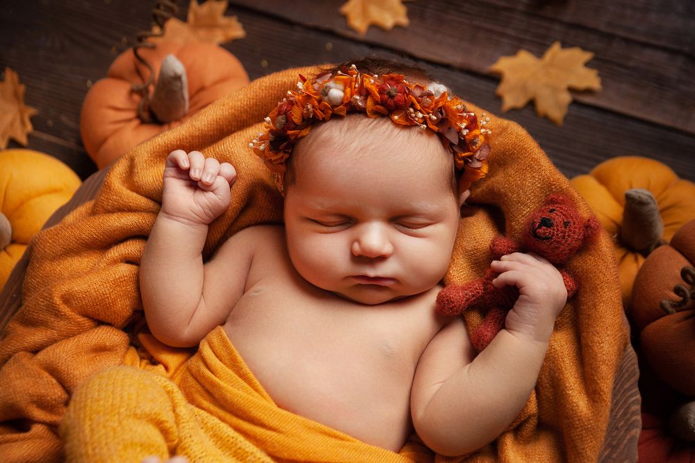 Фотография автора Ману Фалько