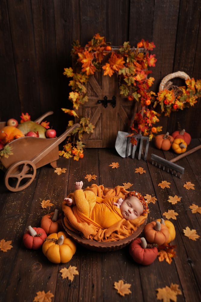 Photo #9463023