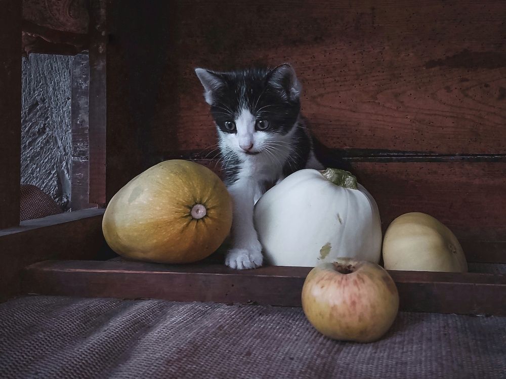 Photograph by Ольга