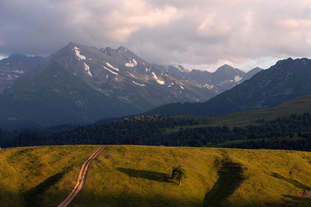 Фотография автора Наталья Смекалина