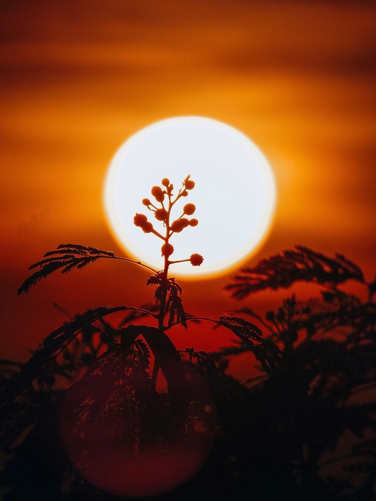 Photograph by Emmanuel Garcia