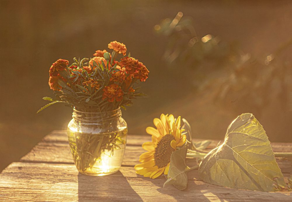 Photograph by Наталья Исиченко