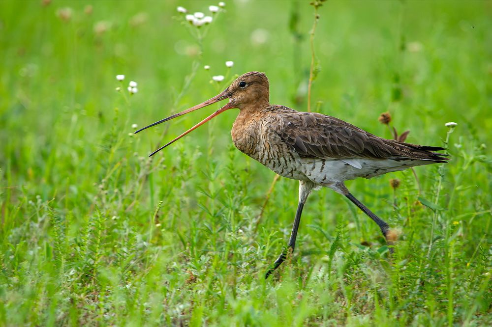 Photograph by Оксана Маховская